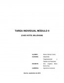 CASO HOTEL DESARROLLO ORGANIZACIONAL