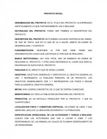 PASOS DE UN PROYECTO SOCIAL. Página 1