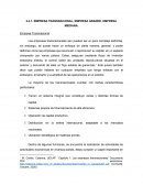 EMPRESA TRANSNACIONAL, EMPRESA GRANDE, EMPRESA MEDIANA