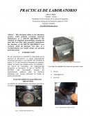 Informe de practica preventivo equipo de sonido