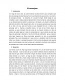 Ensayo El extranjero de Albert Camus