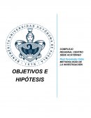 OBJETIVOS E HIPÓTESIS