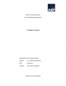 TRABAJO EVALUADO empresa Ideal S.A