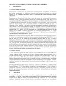 IMPACTO COVID 19 SOBRE EL TURISMO: ENFOQUE DEL GOBIERNO