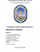 INFORME DE LABORATORIO DE BIOLOGIA PRACTICA N°5: ENZIMAS