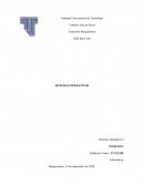 Sistemas operativos. Creación de procesos