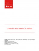 LA VIABILIDAD MEDIO AMBIENTAL DEL PROYECTO