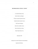 Scrum como Metodología Ágil