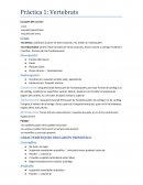 Prácticas asignatura vertebrados (cat)