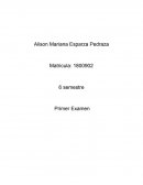 Ensayo derecho administrativo