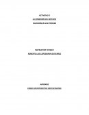 LA CONEXIÓN DEL SERVICIO Acometida de una Vivienda