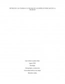 DETRÁS DE LAS CÁMARAS: EL DILEMA DE LAS MODELOS WEBCAM CON LA SOLEDAD