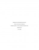 FORMULACIÓN Y EVALUACIÓN DE PROYECTOS
