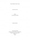 Finanzas Mundiales: Pasado y Presente