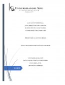 TRABAJO DE FISICA movimiento rectilíneo uniforme