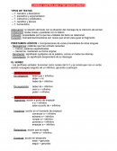 CASTELLANO SEGUNDO DE BACHILLERATO