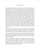 El Agua Situación Actual