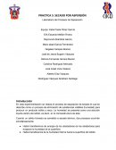 Practica: Secado por Aspersiòn