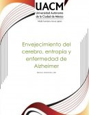 ENSAYO Envejecimiento del cerebro, entropía y enfermedad de Alzheimer