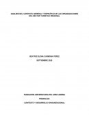 ANALISIS DEL CONTEXTO GENERAL Y ESPECÍFICO DE LAS ORGANIZACIONES DEL SECTOR TURISTICO REGIONAL
