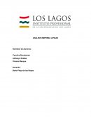 ANÁLISIS EMPRESA LIPIGAS