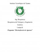 Preguntas “Electroforesis de Agarosa”