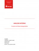 ANÁLISIS INTERNO DE UNA EMPRESA. Empresa de Bolsas Biodegradables