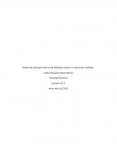Relacionar principios básicos del fenómeno eléctrico a situaciones cotidianas