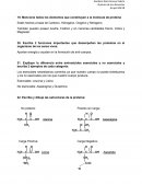 Cuestionario de Quimica de los alimentos