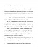 Caso práctico: Lidl y sus relaciones en el canal de distribución