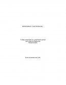 MONOGRAFÍA “YUGO DESIGUAL”