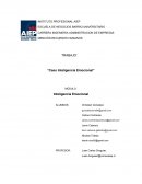 Caso inteligencia emocional