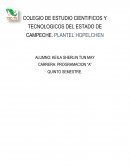 Ensayo como la pandemia o (COVID 19) ha afectado a miles de personas