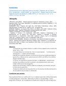 Historia mundial siglo xx