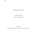 GELATINA DE PATA DE RES