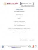 Analisis y Descripcion de Puestos