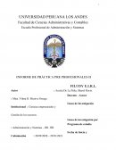 Prácticas Pre – Profesionales se realizó gracias a la aceptación de la empresa FILUDY E.I.R.L