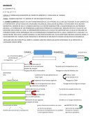 EL CAMBIO CLIMÁTICO Y EL MANEJO DE RECURSOS NATURALES