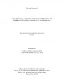 CARACTERISTICAS, ELEMENTOS, SEMEJANZAS Y DIFERENCIAS DEL LIDERAZGO ADAPTATIVO Y EQUIPOS DE ALTO RENDIMIENTO