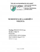 Reseña historica de la tecnicas proyectivas