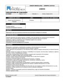 Descripcion de funciones PUESTO DE SU JEFE INMEDIATO