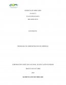 PLAN ESTRATEGICO . HELADOS OCCO