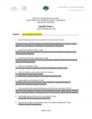 Vapor de proceso Ingeniería Química