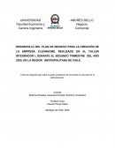 DESARROLLO DEL PLAN DE NEGOCIO PARA LA CREACIÓN DE LA EMPRESA CLEANHOME
