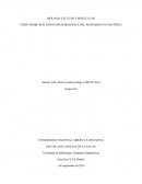 Reflexión Epistemológica del Pensamiento Científico