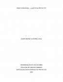 ENSAYO INDIVIDUAL. 1 ¿QUÉ ES UN PROYECTO?