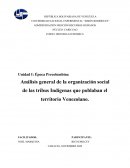 Análisis general de la organización social de las tribus Indígenas que poblaban el territorio Venezolano