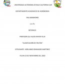 CLASIFICACION DE FRUTOS