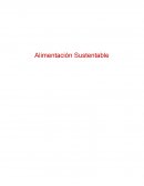 Alimentación sustentable en Chile