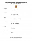 El Rol Del Consultor Estratégico